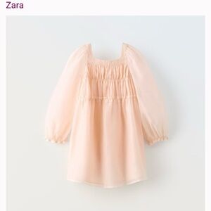 Zara Toddler Ruched Organza Party Dress (2-3Y)